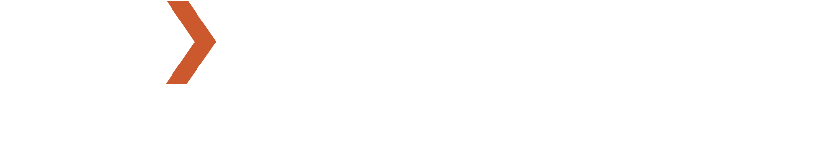 NAP_Logo_Akzent_Orange